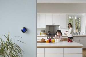 Nest Smart Thermostat